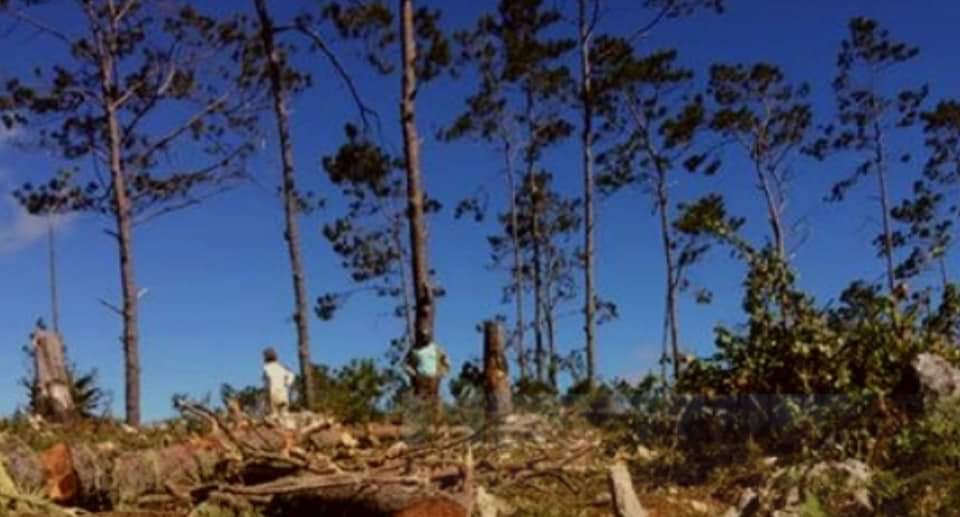 Haïti : entre le déclin des écosystèmes terrestres et marins